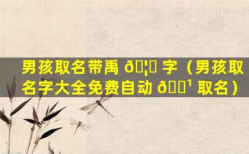 男孩取名带禹 🦅 字（男孩取名字大全免费自动 🌹 取名）